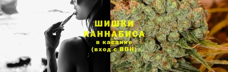 Канабис конопля  Пыталово 